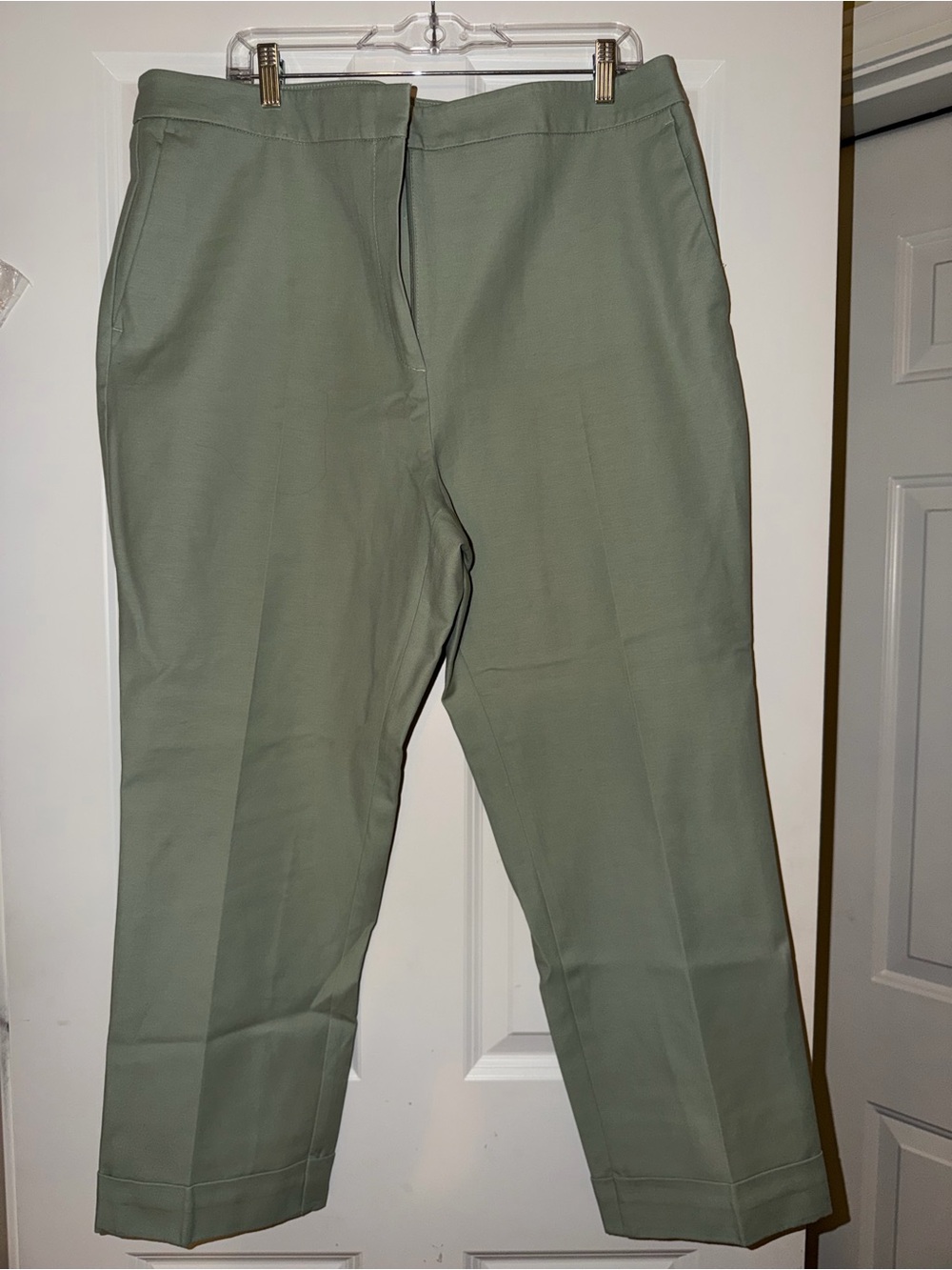 Ann Taylor Factory Light Sage Green Cropped Dress Pants